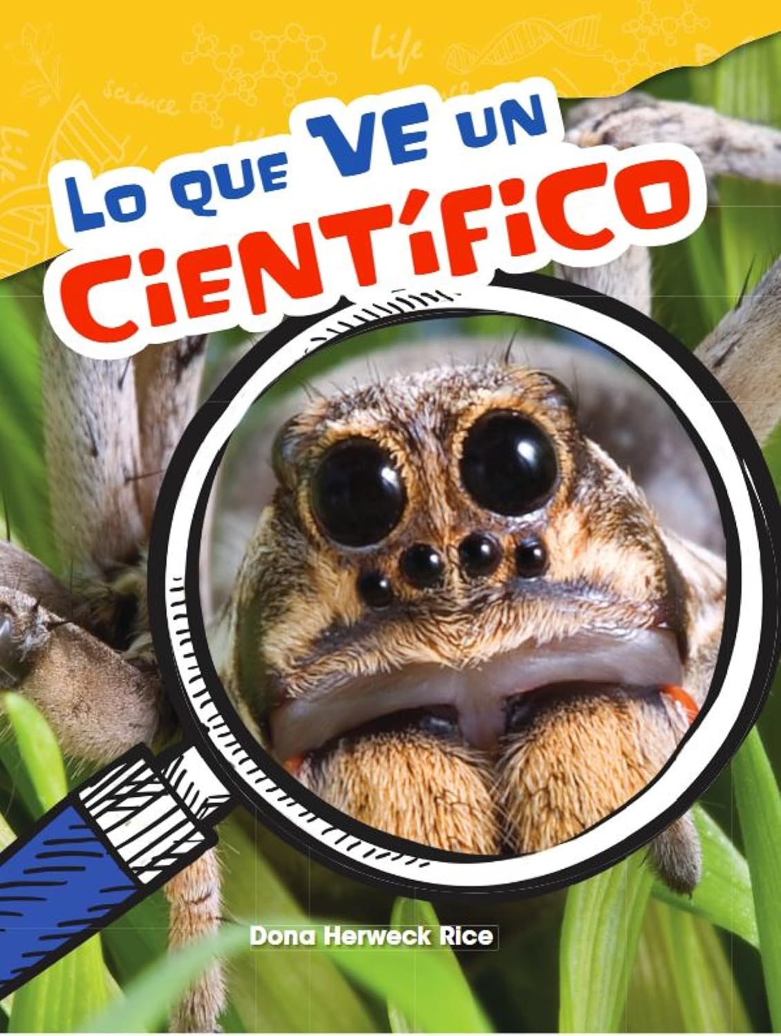 Lo que ve un científico