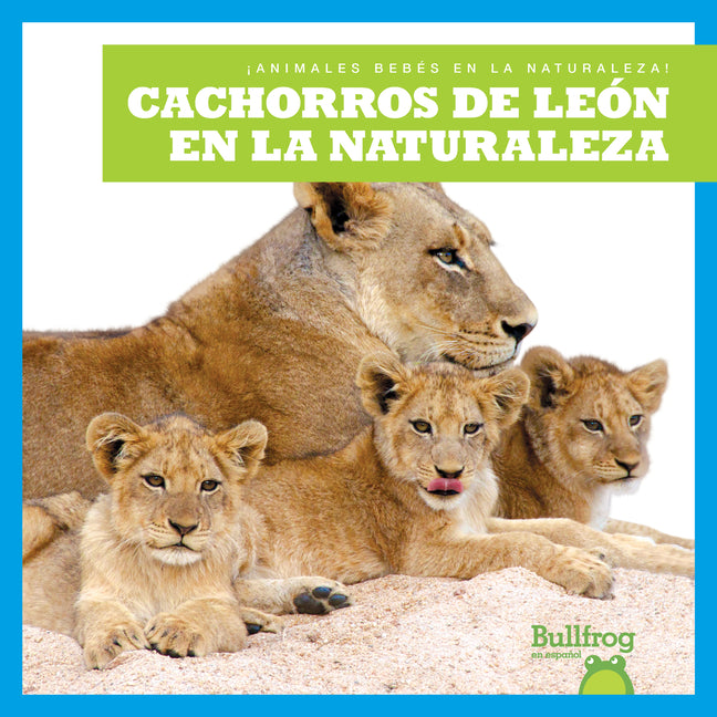 Cachorros de león en la naturaleza