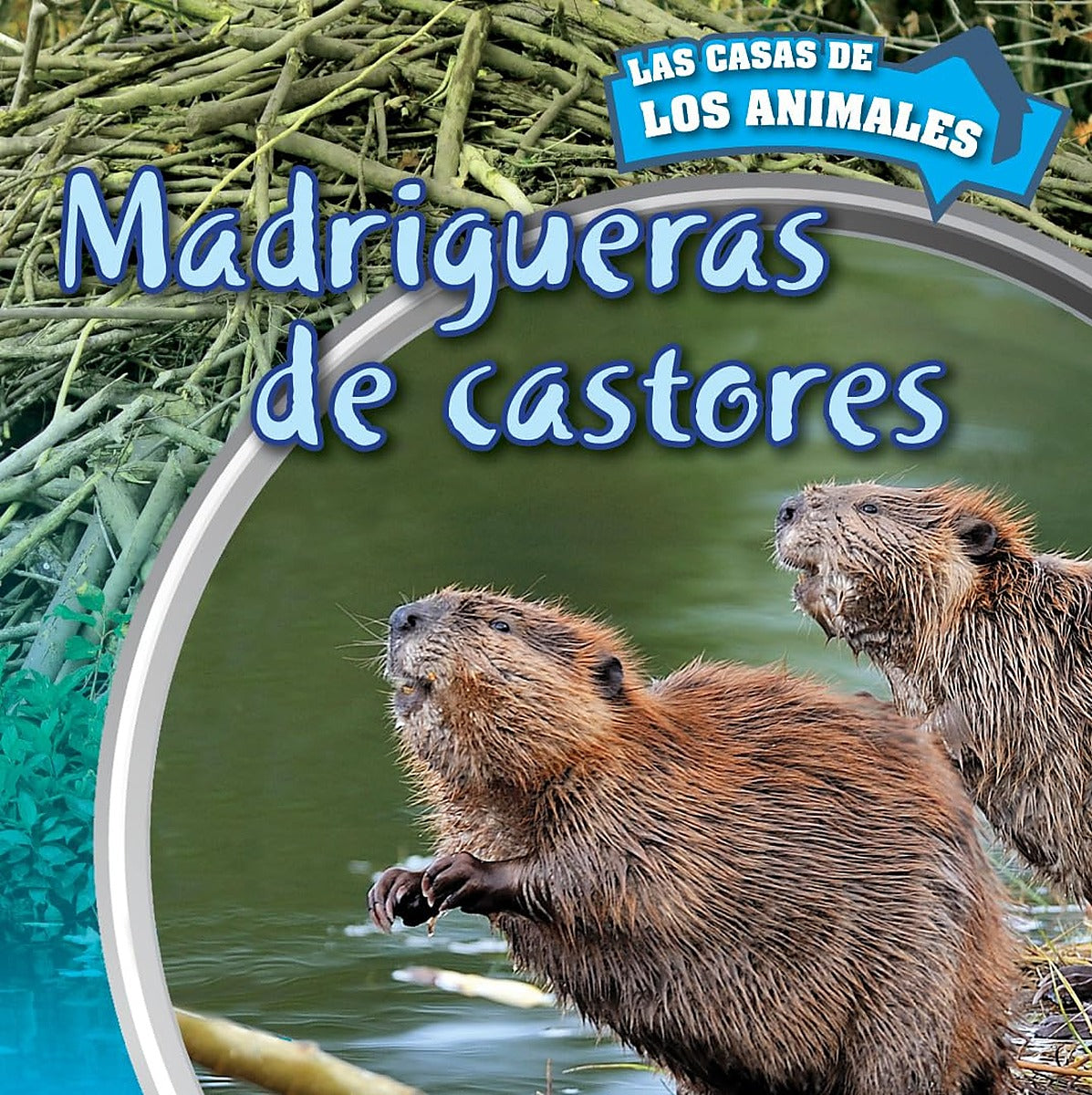 Madrigueras de castores (Inside Beaver Lodges)