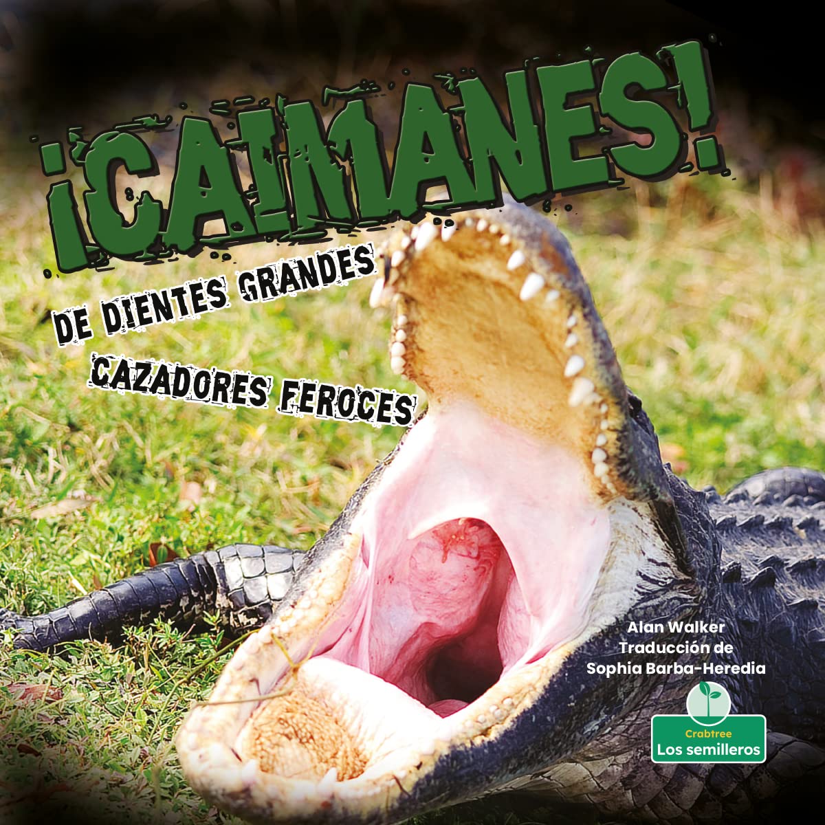 ¡Caimanes! De dientes grandes. Cazadores feroces