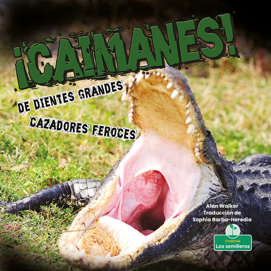 ¡Caimanes! De dientes grandes. Cazadores feroces