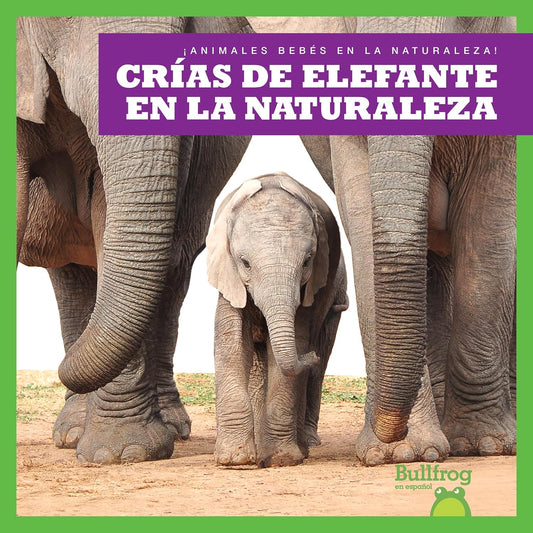 Crías de elefante en la naturaleza