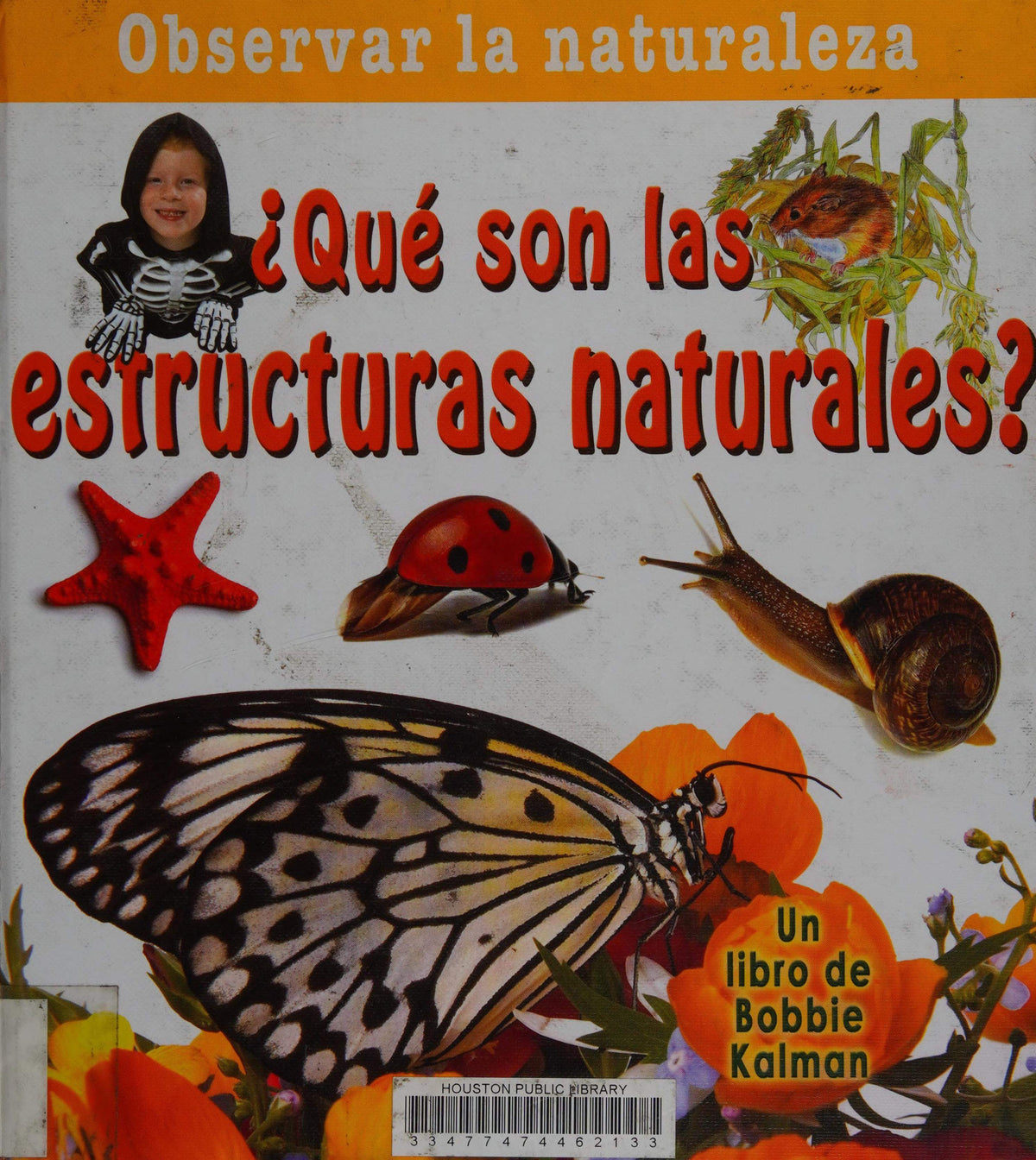 Que Son Las Estructuras Natura
