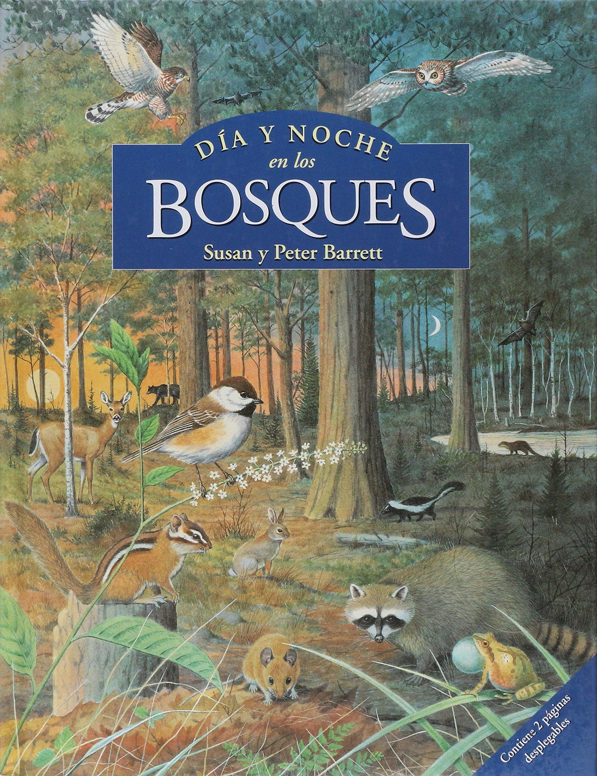 Dia Y Noche En Los Bosques