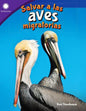 Salvar a las aves migratorias
