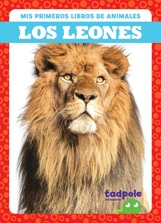 Los leones