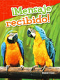 ¡Mensaje recibido!