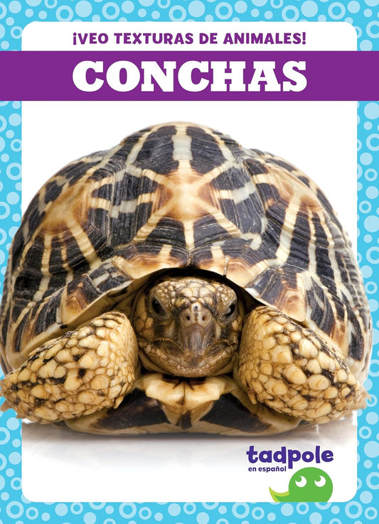 Conchas
