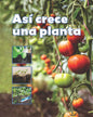 Así crece una planta