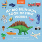 My Big Bilingual Book of First Words