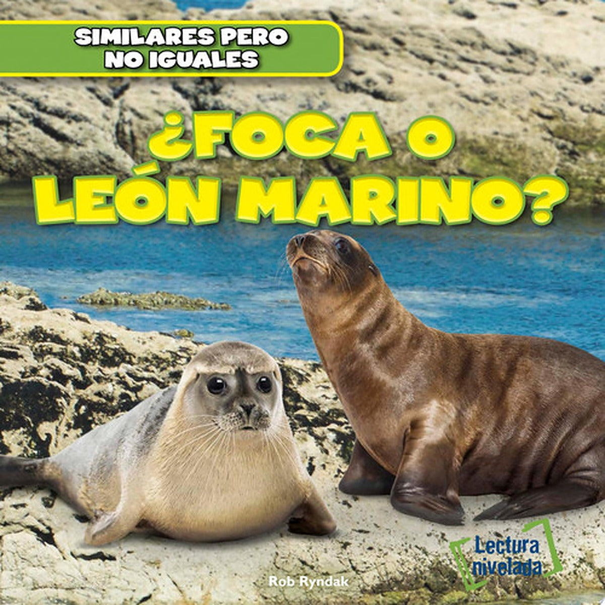 ¿Foca o león marino? (Seal or Sea Lion?)