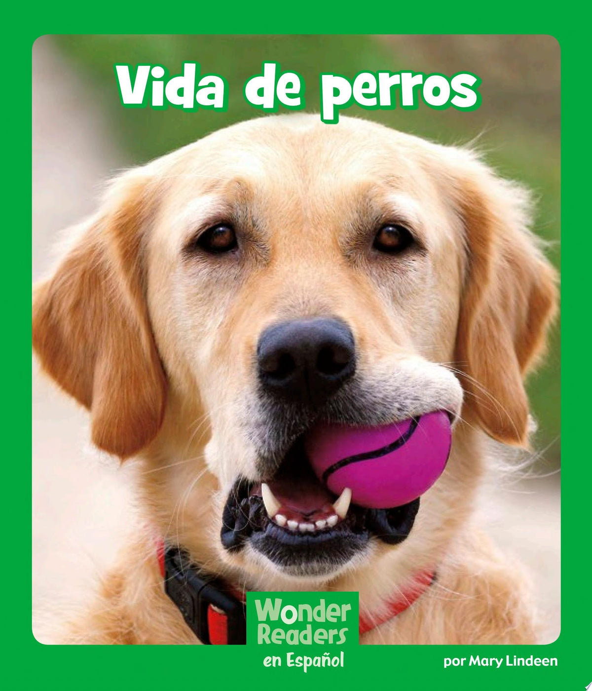 Vida de perros