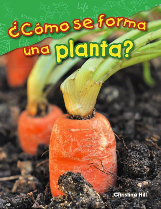 ¿Cómo se forma una planta?