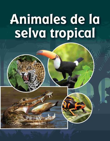 Animales de la selva tropical