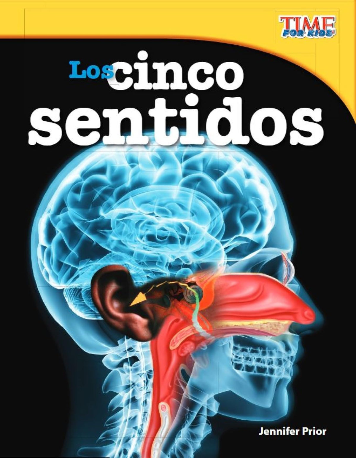 Los cinco sentidos