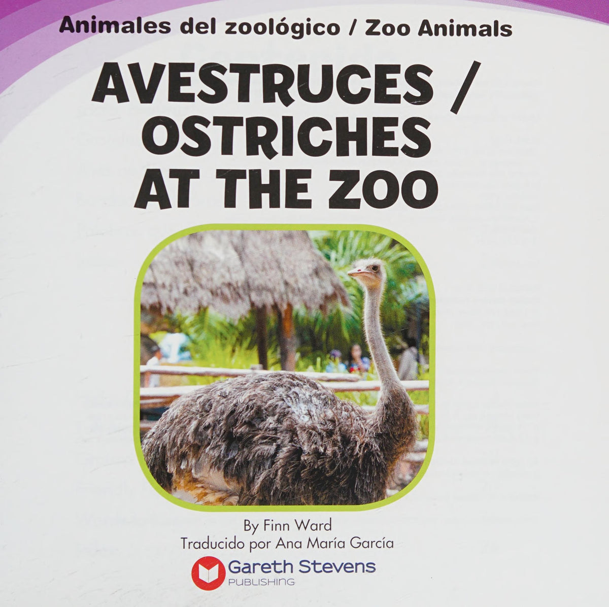 Avestruces / Ostriches at the Zoo