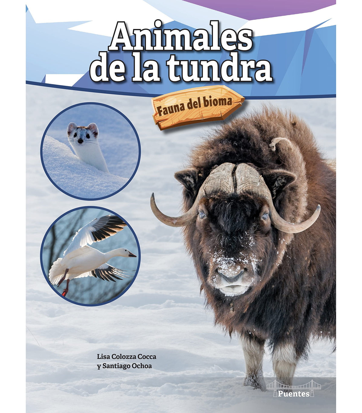 Animales de la tundra