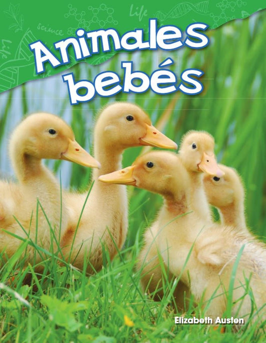 Animales bebés