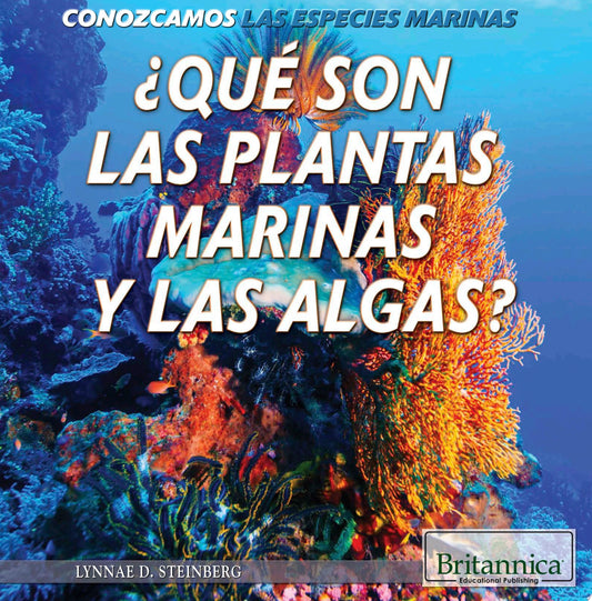 ¿Qué son las plantas marinas y las algas? (What Are Sea Plants and Algae?)