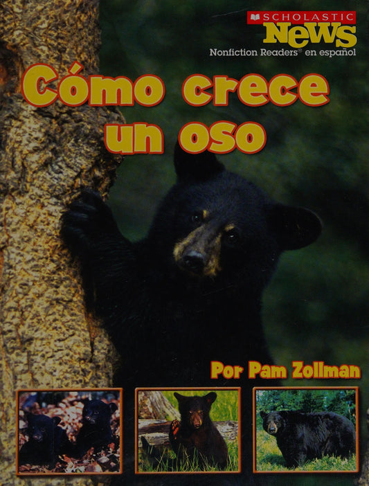 Cómo crece un oso