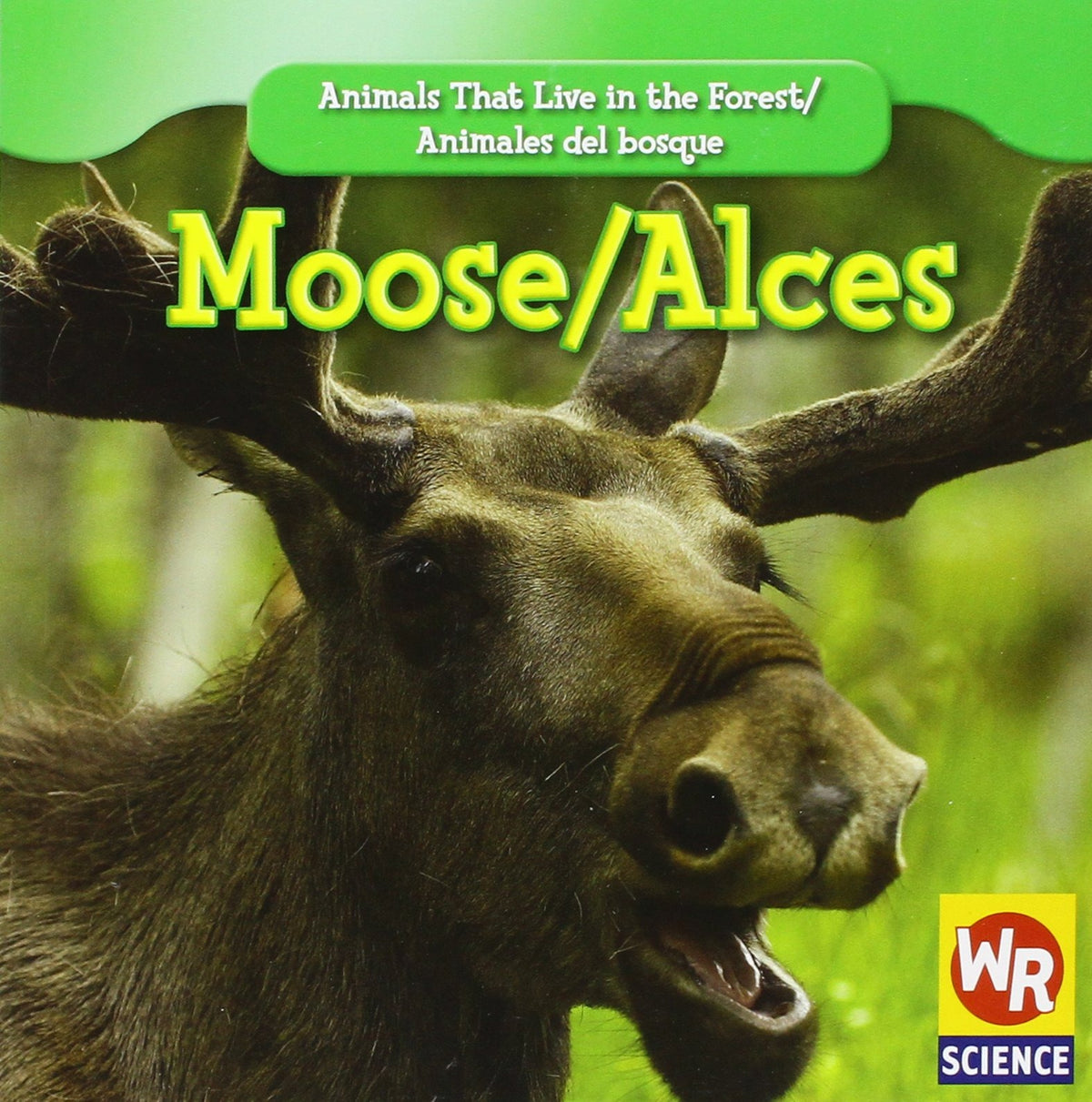 Moose / Alces