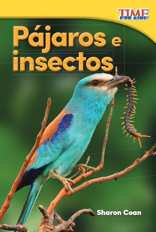 Pájaros e insectos