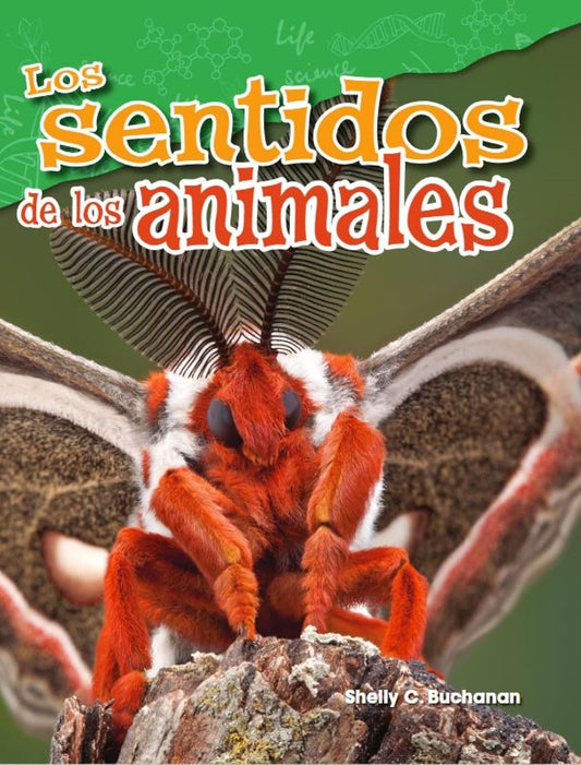 Los sentidos de los animales