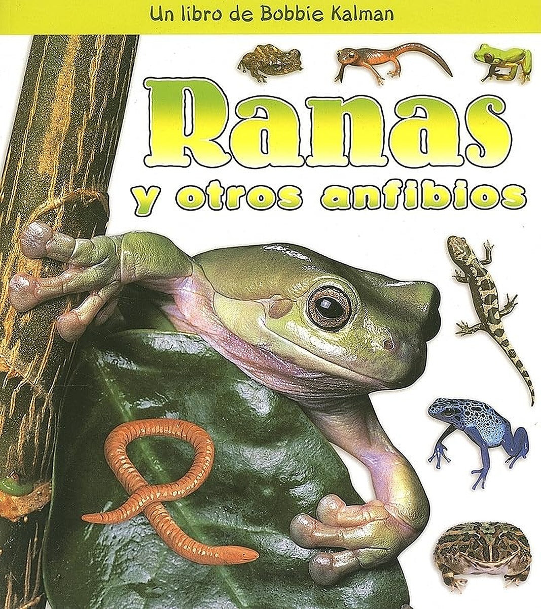 Ranas y otros anfibios (Frogs and Other Amphibians)