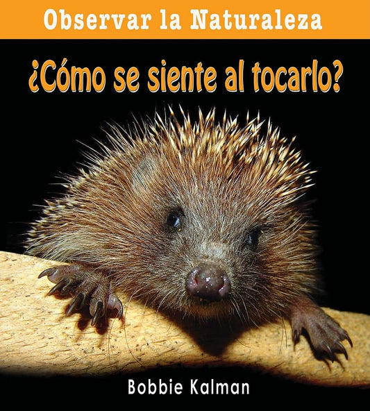 ¿Cómo se siente al tocarlo? (How Does it Feel?)