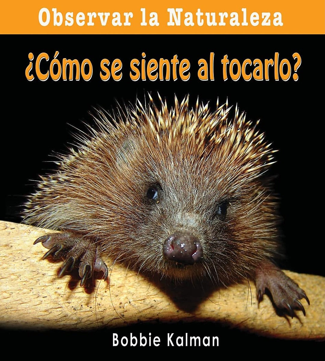 ¿Cómo se siente al tocarlo? (How Does it Feel?)