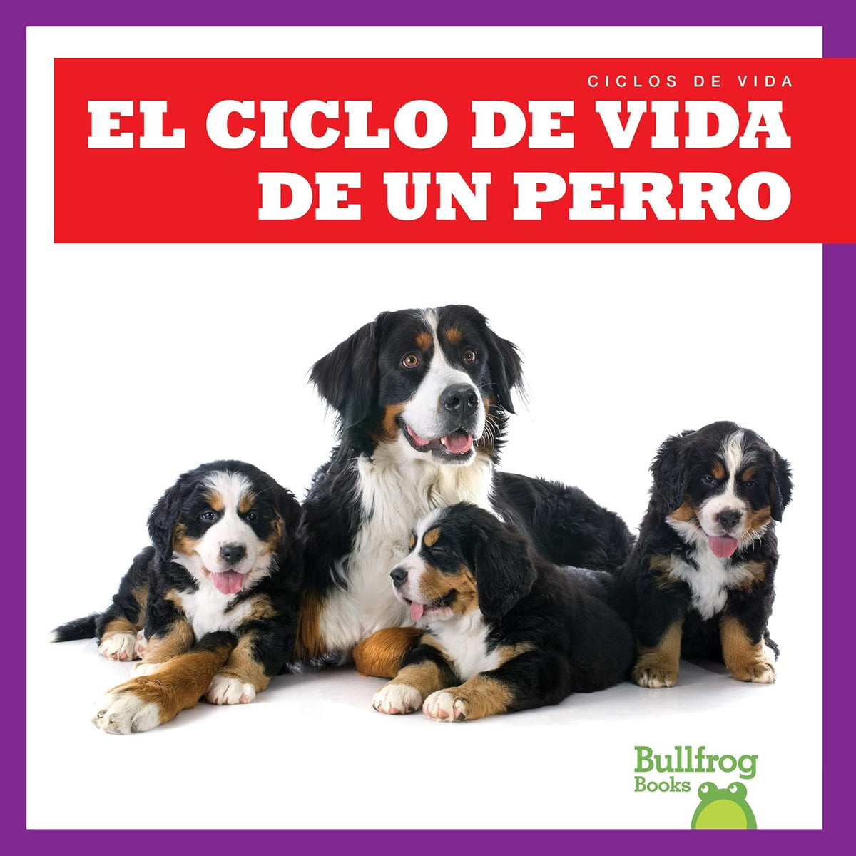 El ciclo de vida de un perro