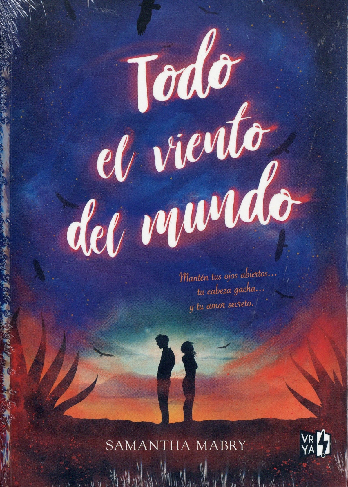 Todo el viento del mundo