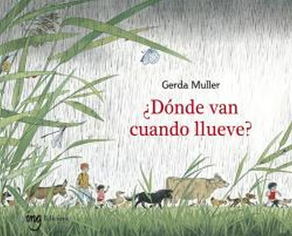 Dónde van cuando llueve?