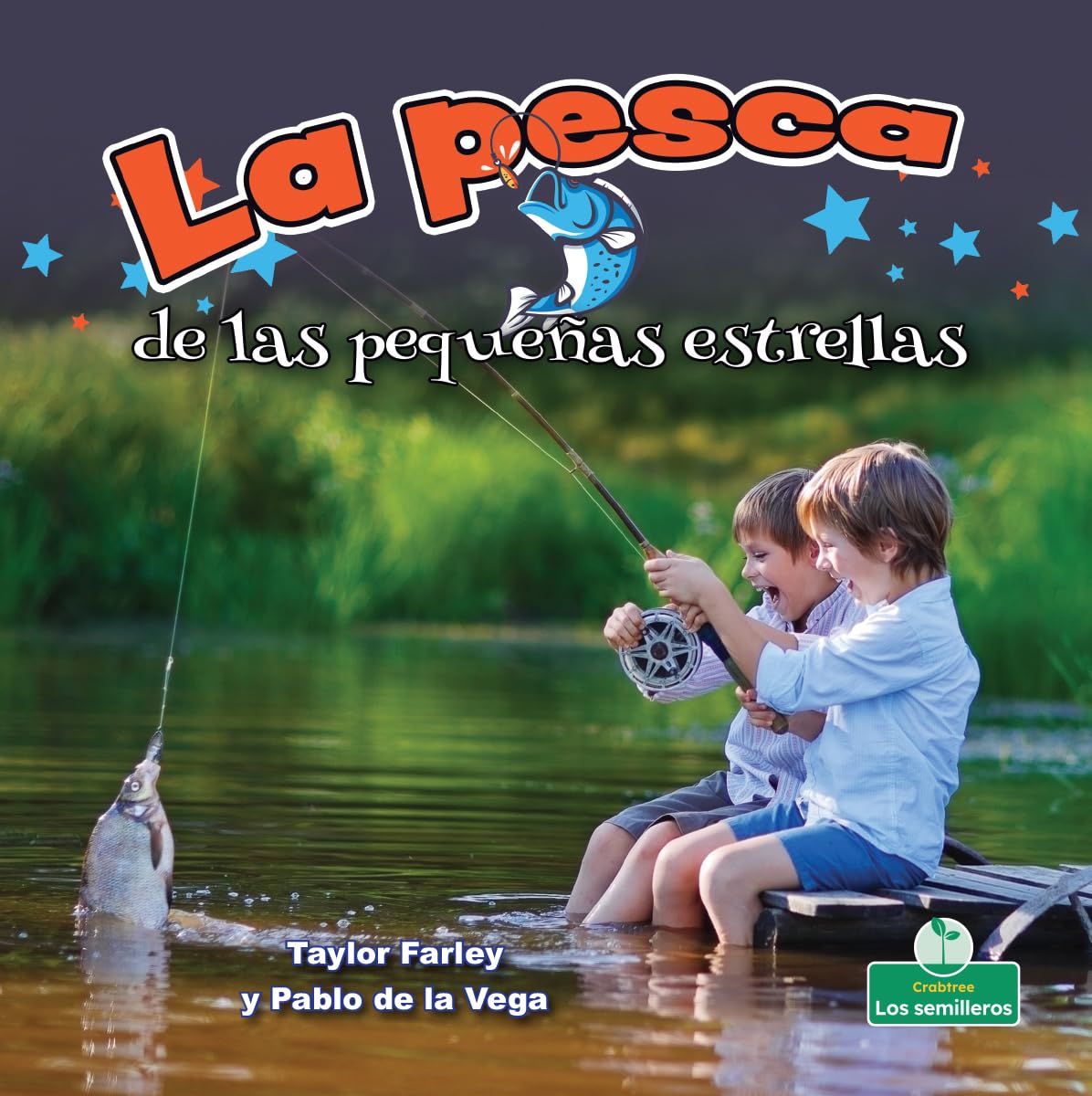 La pesca de las pequeñas estrellas