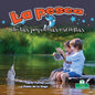 La pesca de las pequeñas estrellas