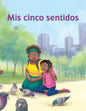 Mis cinco sentidos