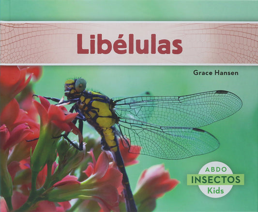 Libélulas / Dragonflies