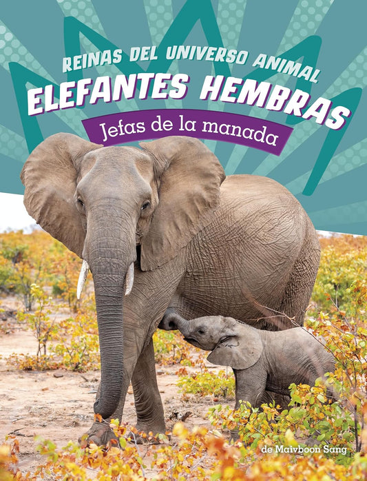 Elefantes hembras
