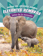 Elefantes hembras