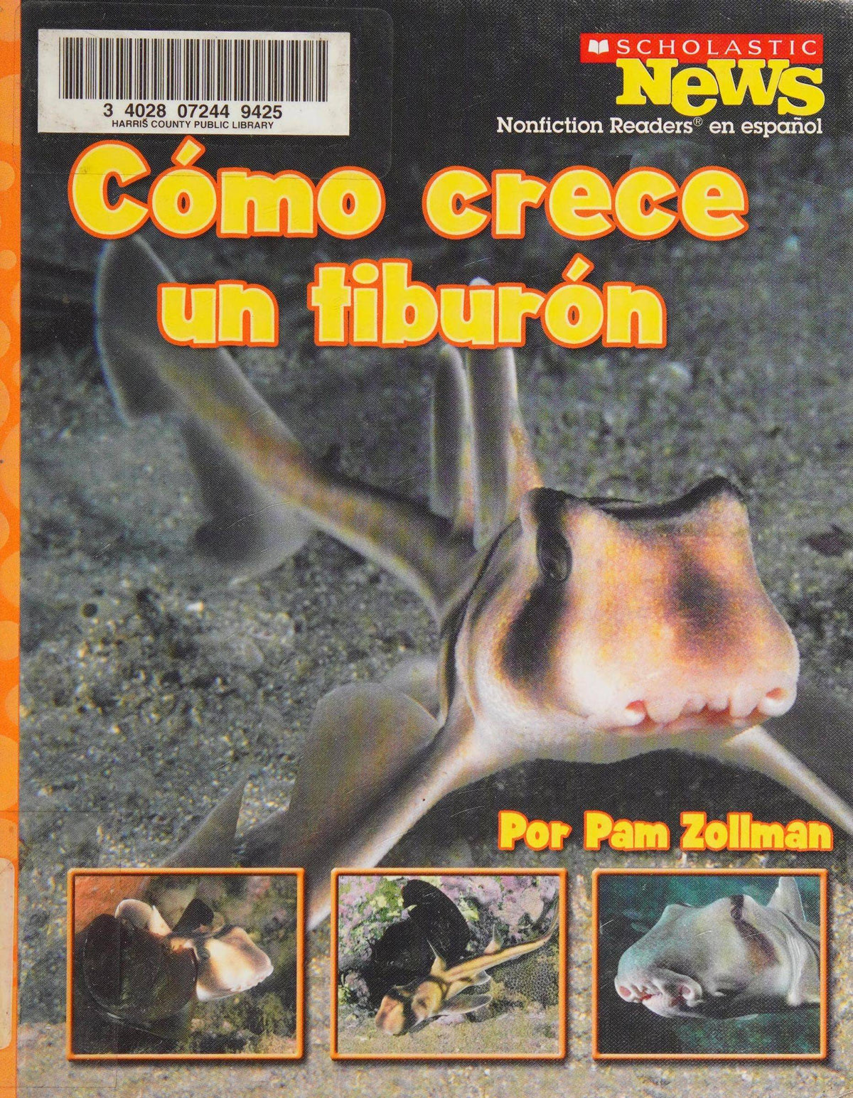 Cómo crece un tiburón