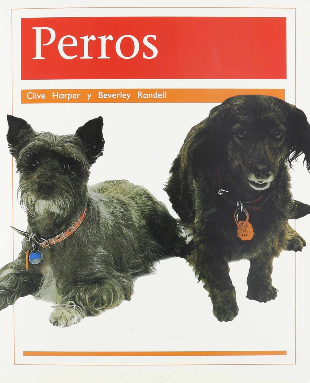 SPM Ora NF Dogs