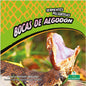 Bocas de algodón