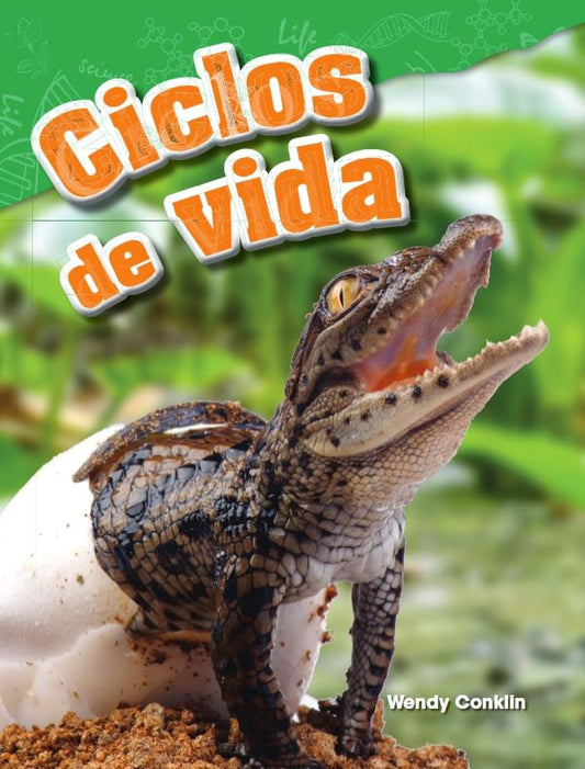 Ciclos de vida