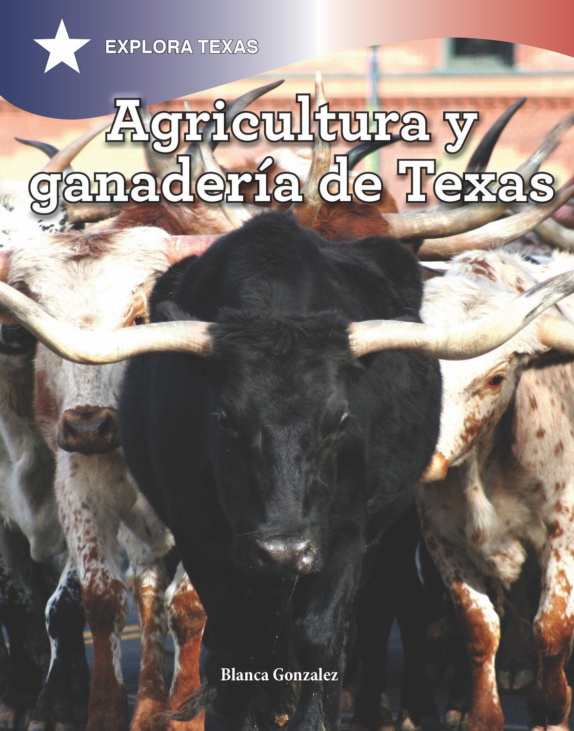 Agricultura y ganadería en Texas (Agriculture and Cattle in Texas)