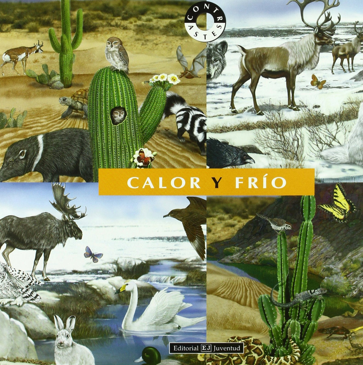 Calor y frío
