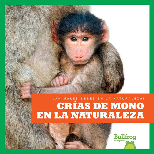 Crías de mono en la naturaleza