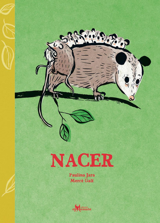 Nacer