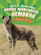 Hienas manchadas hembras
