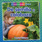 De semilla a calabaza