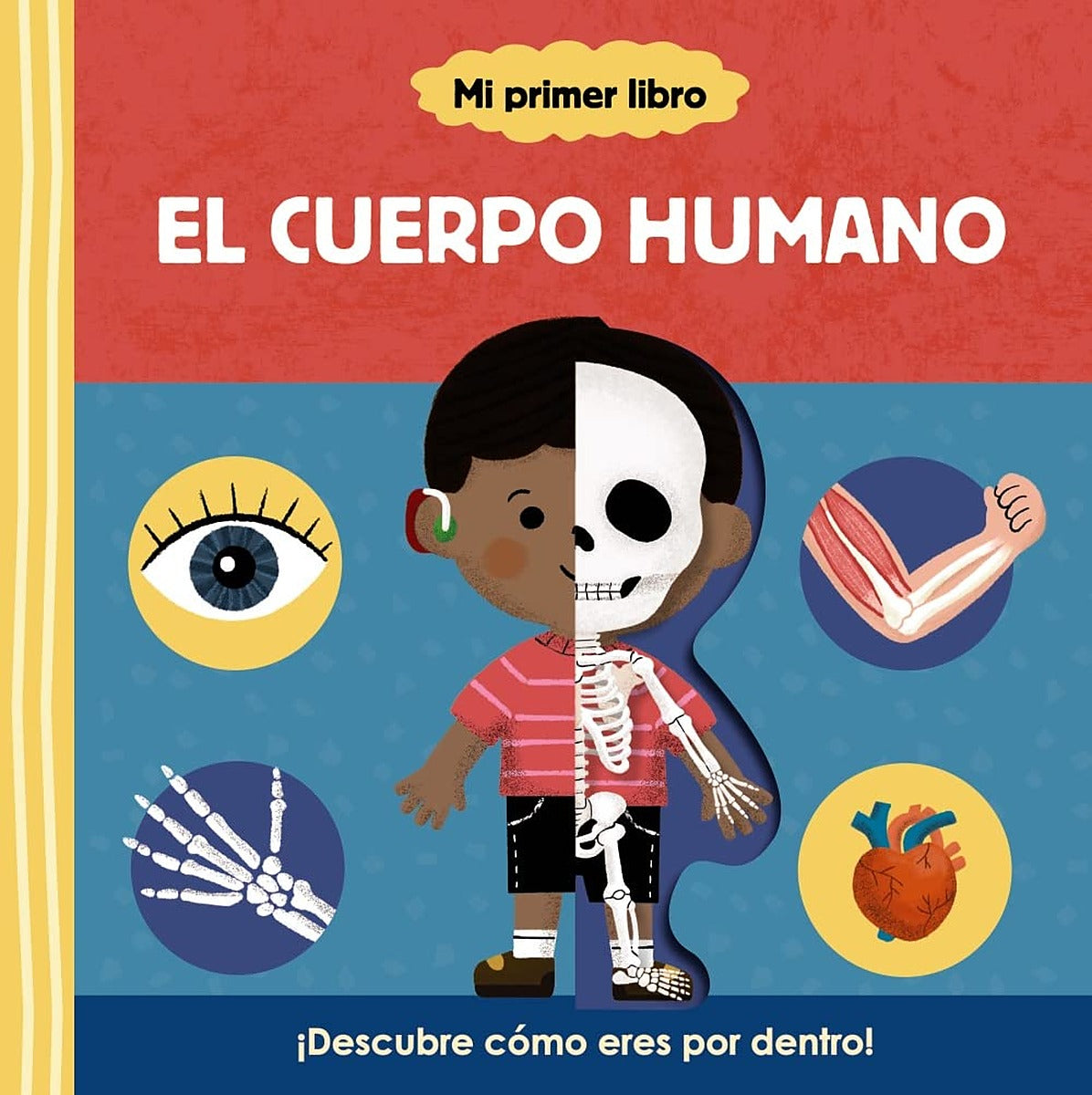 El cuerpo humano